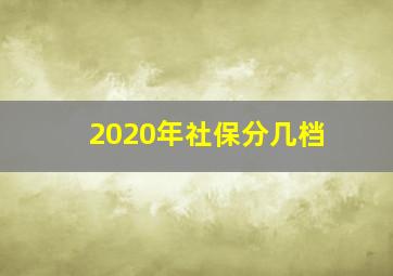 2020年社保分几档