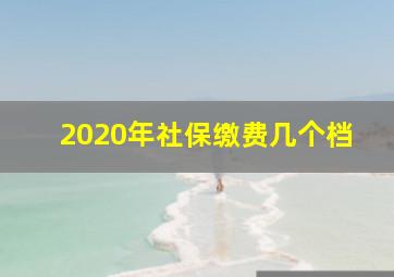 2020年社保缴费几个档