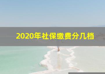 2020年社保缴费分几档