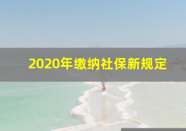 2020年缴纳社保新规定