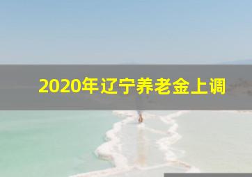 2020年辽宁养老金上调