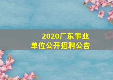 2020广东事业单位公开招聘公告