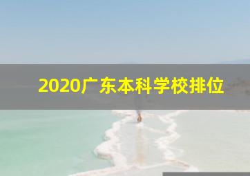 2020广东本科学校排位