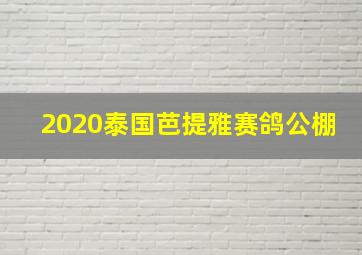 2020泰国芭提雅赛鸽公棚