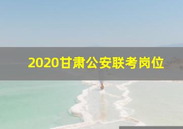 2020甘肃公安联考岗位