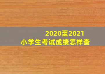 2020至2021小学生考试成绩怎样查