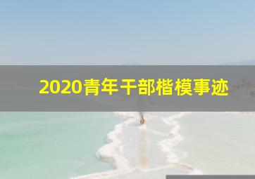 2020青年干部楷模事迹