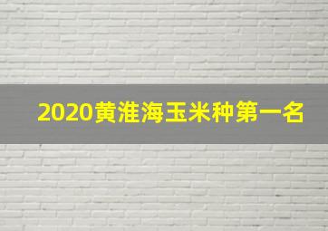 2020黄淮海玉米种第一名