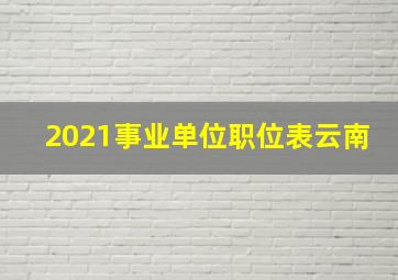 2021事业单位职位表云南