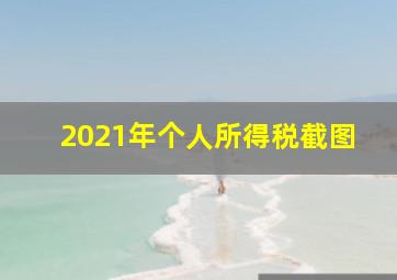 2021年个人所得税截图