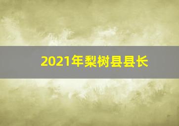 2021年梨树县县长