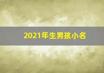 2021年生男孩小名