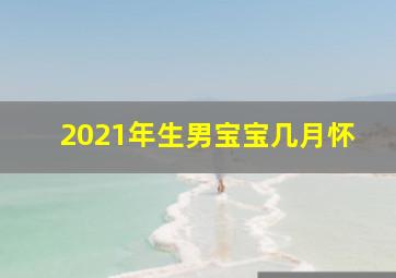 2021年生男宝宝几月怀