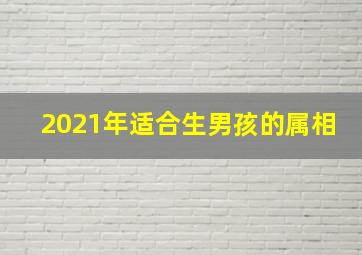 2021年适合生男孩的属相