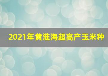 2021年黄淮海超高产玉米种