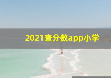 2021查分数app小学