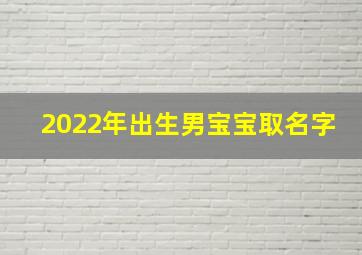 2022年出生男宝宝取名字