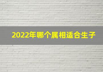 2022年哪个属相适合生子