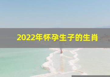 2022年怀孕生子的生肖