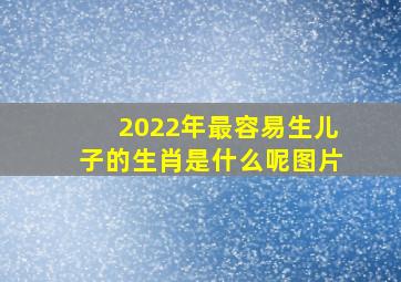 2022年最容易生儿子的生肖是什么呢图片