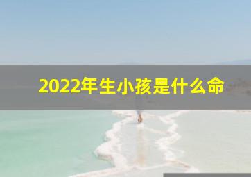 2022年生小孩是什么命