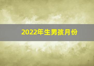 2022年生男孩月份