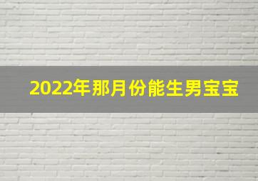 2022年那月份能生男宝宝