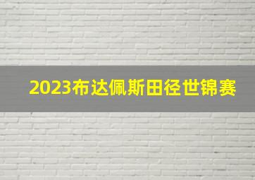 2023布达佩斯田径世锦赛