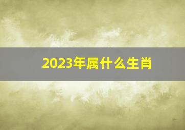 2023年属什么生肖