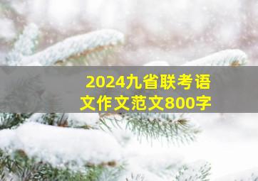 2024九省联考语文作文范文800字