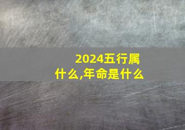 2024五行属什么,年命是什么