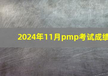 2024年11月pmp考试成绩