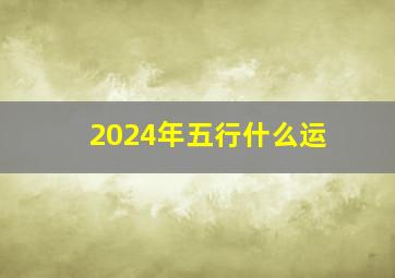 2024年五行什么运