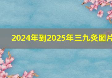 2024年到2025年三九灸图片