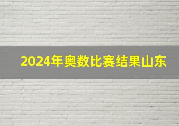 2024年奥数比赛结果山东