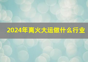 2024年离火大运做什么行业