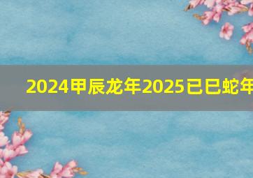 2024甲辰龙年2025已巳蛇年