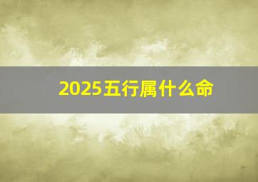 2025五行属什么命