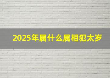 2025年属什么属相犯太岁