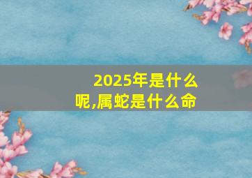 2025年是什么呢,属蛇是什么命