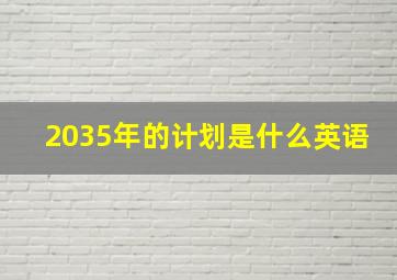 2035年的计划是什么英语