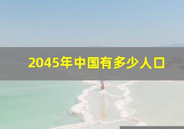 2045年中国有多少人口