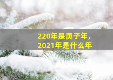 220年是庚子年,2021年是什么年