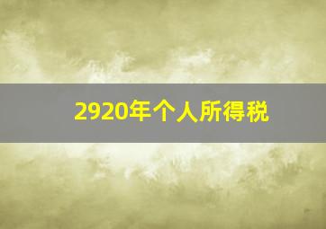 2920年个人所得税