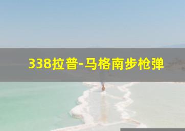 338拉普-马格南步枪弹