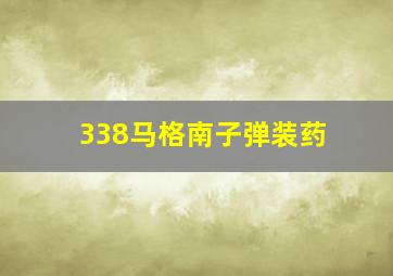 338马格南子弹装药