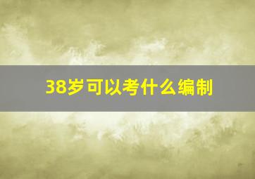 38岁可以考什么编制