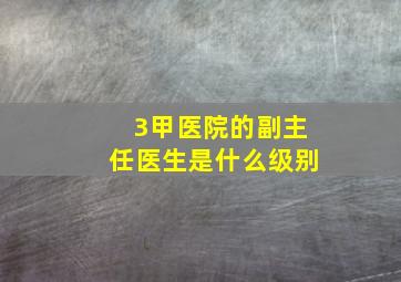 3甲医院的副主任医生是什么级别