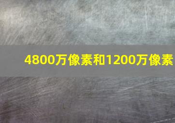 4800万像素和1200万像素