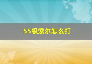 55级索尔怎么打